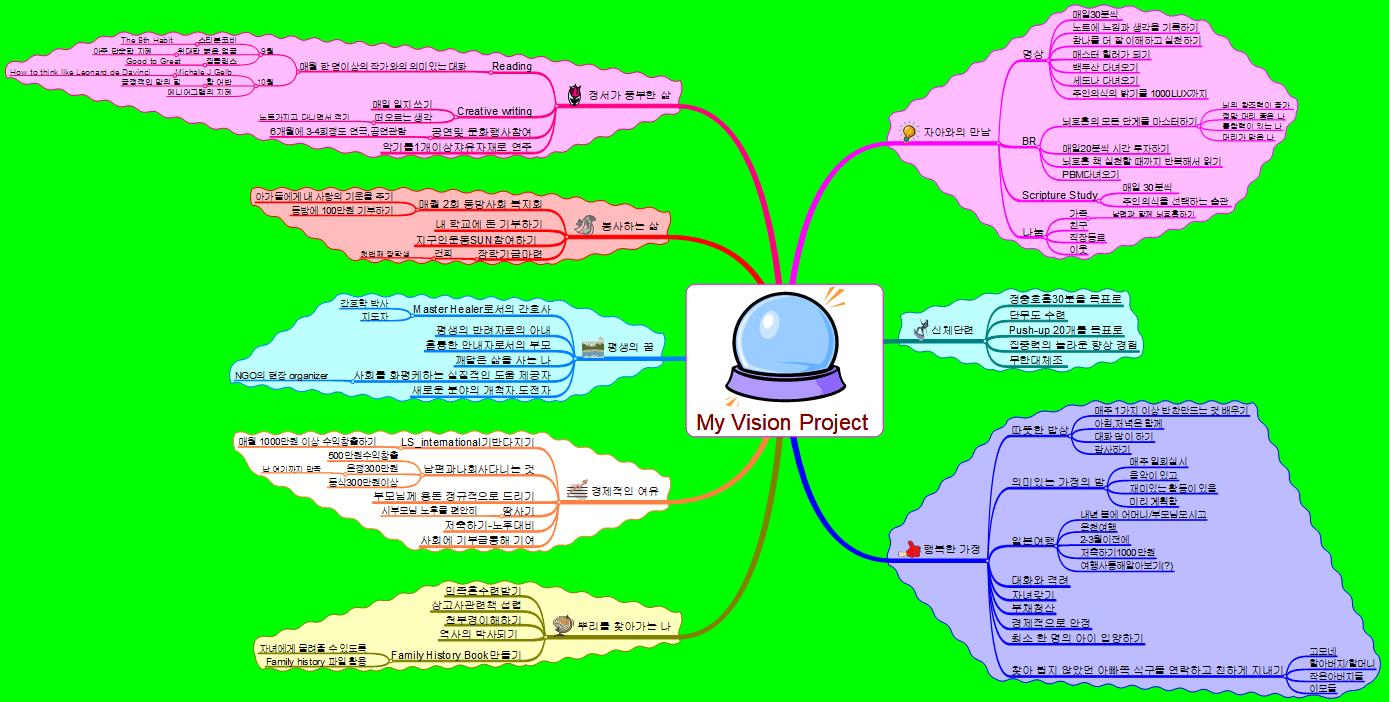 My Vision Project 이미지