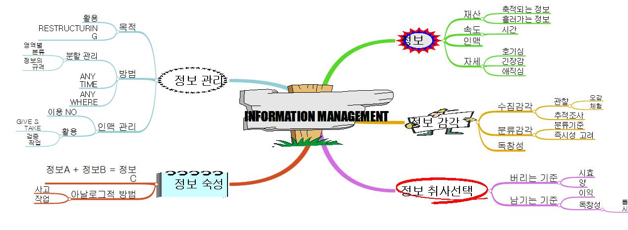 Information Management 이미지